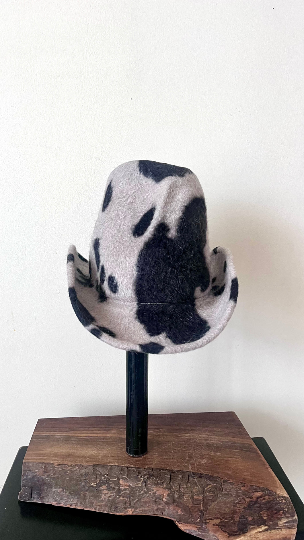 Holstein