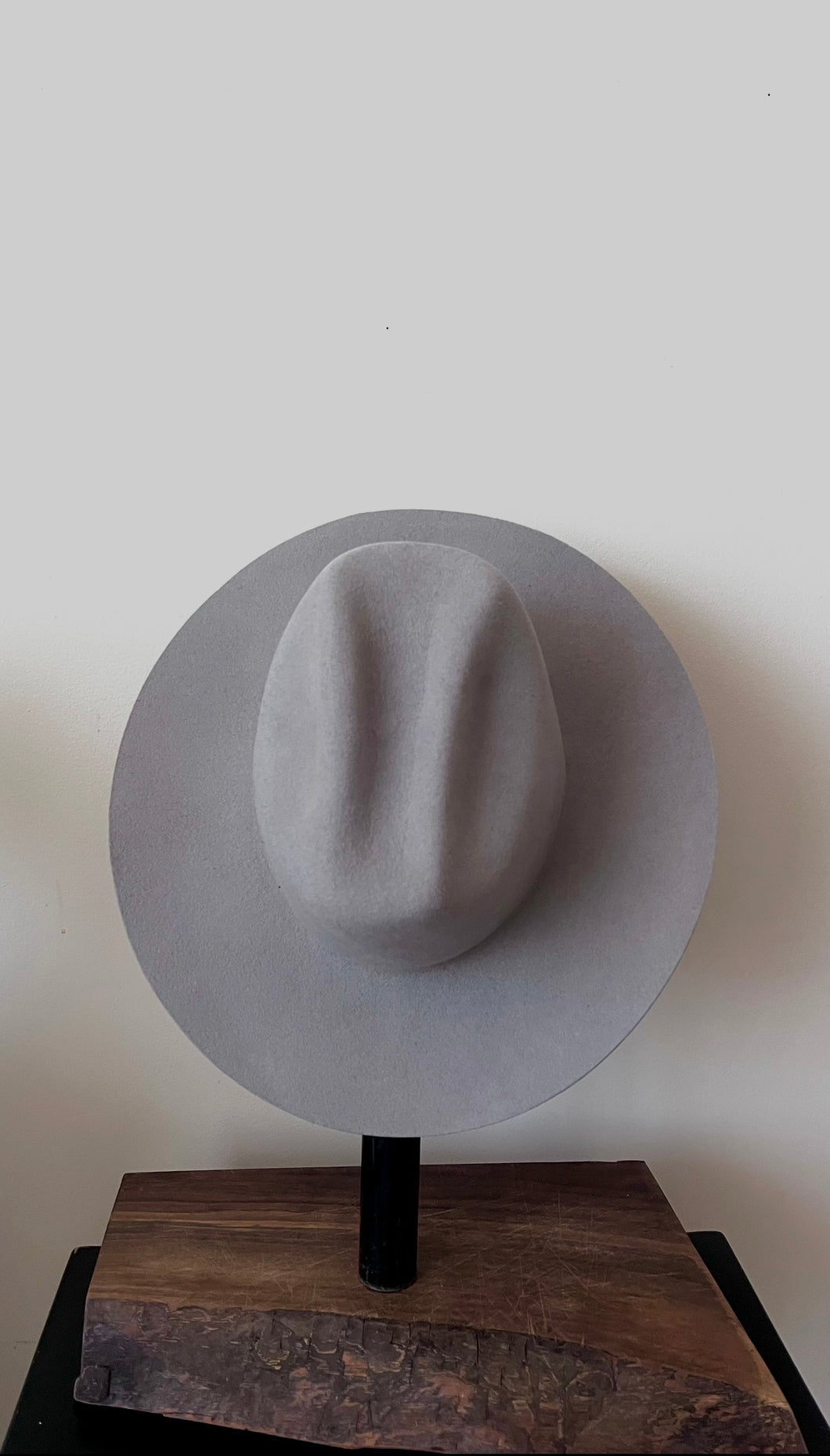 Silverbelly Cowboy